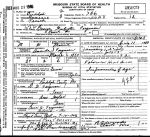 Death Certificate: George Washington Ferguson